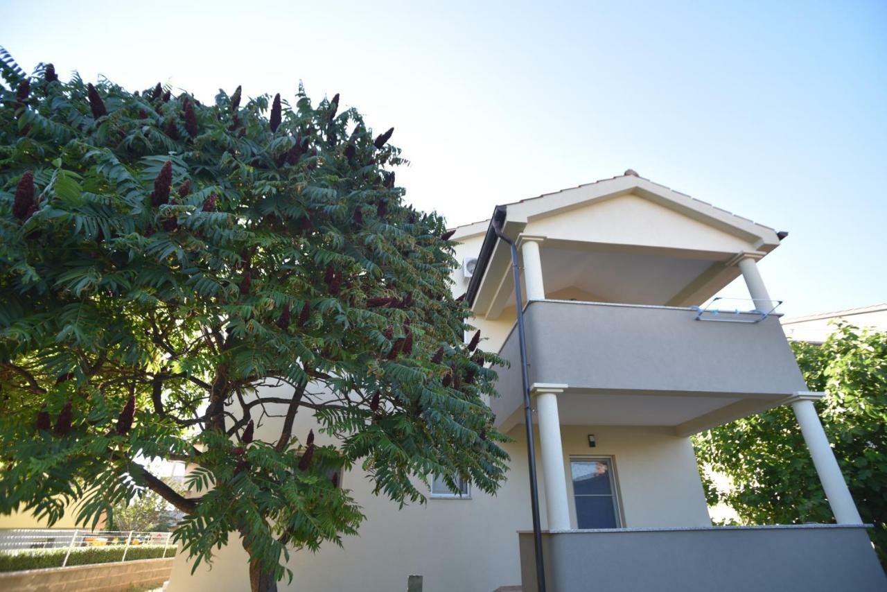 זאדאר Apartments Armando מראה חיצוני תמונה